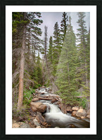 Colorado Rocky Mountain Flowing Stream Picture Frame print