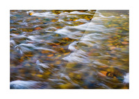 South Boulder Creek In Living Color Picture Frame print