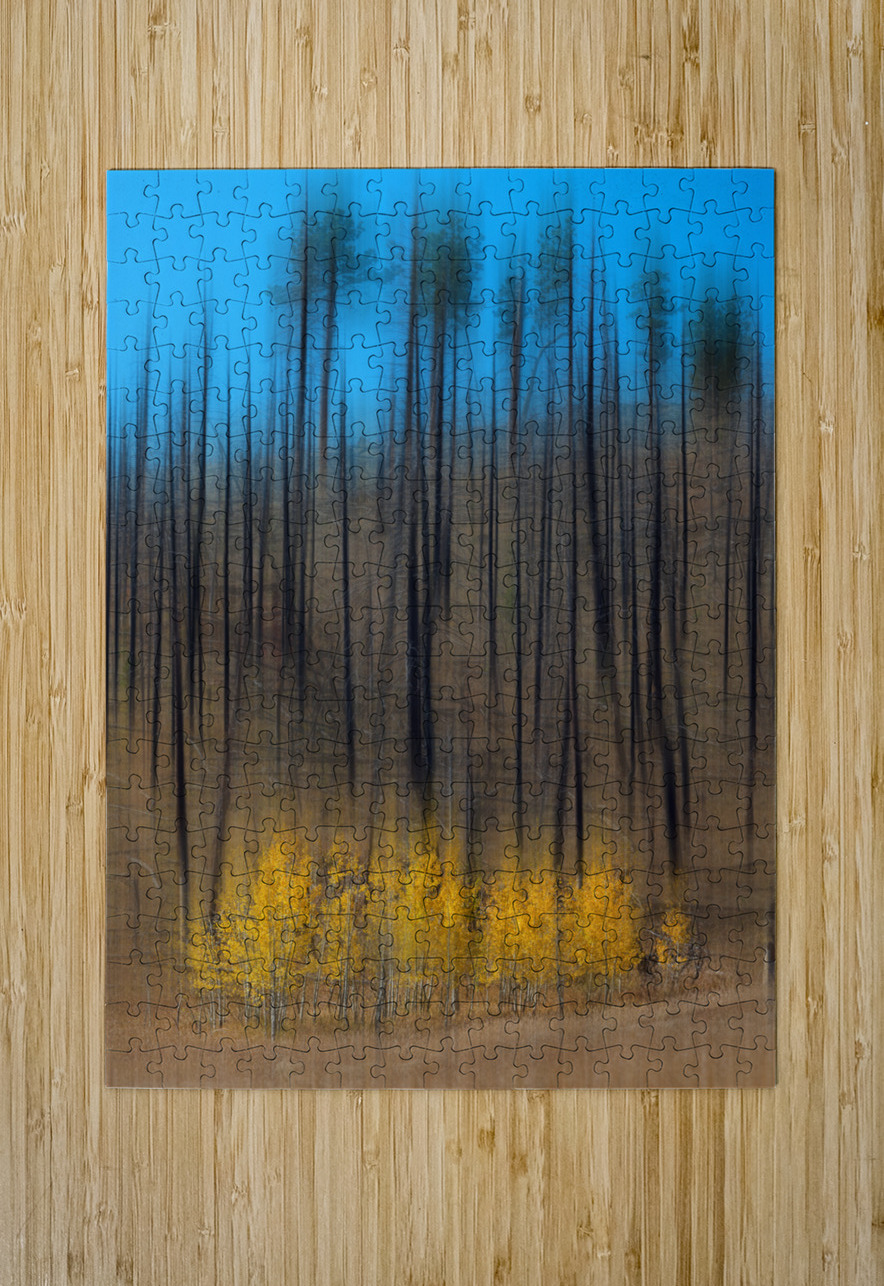 Aspen Forest Fire Abstract Bo Insogna Puzzle printing