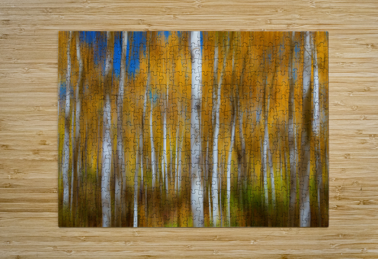 Sleepy Hollow Bo Insogna Puzzle printing