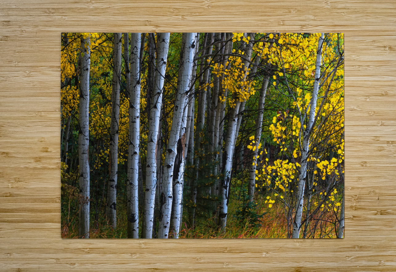 Roosevelt National Forest Wilderness Wonderland Bo Insogna Puzzle printing