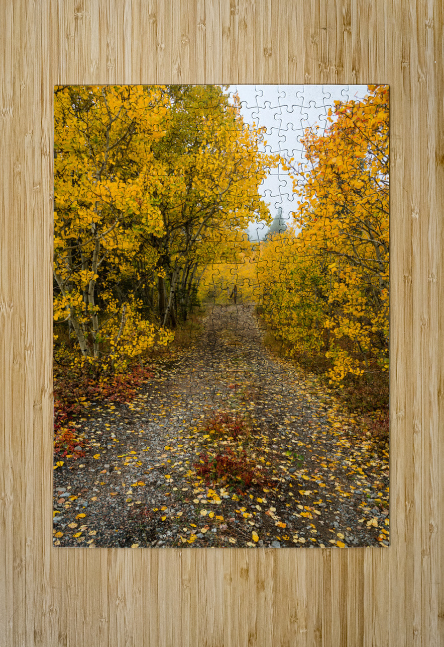 Inviting Autumn Hiking Trail Bo Insogna Puzzle printing
