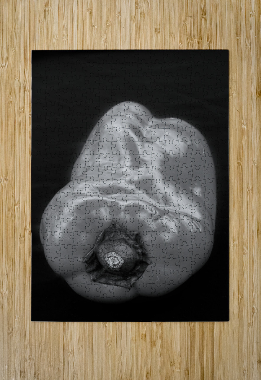 Red Pepper Bringing Sexy Back Black and White Bo Insogna Puzzle printing