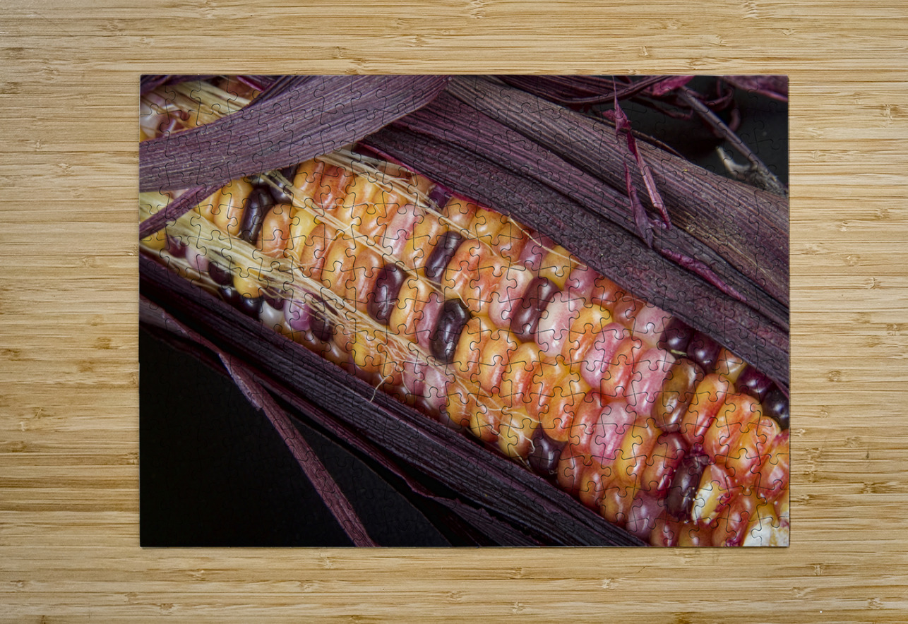Colorful Indian Corn Bo Insogna Puzzle printing