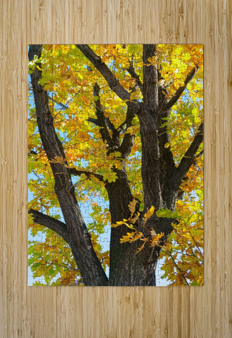 Some Un be leaf able Fall Vibes Bo Insogna Puzzle printing