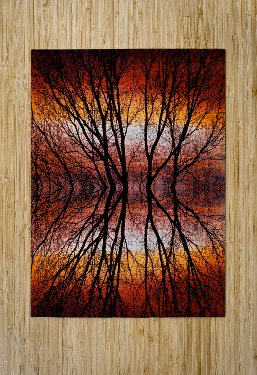Sunset Tree Silhouette Abstract 2 Bo Insogna Puzzle printing