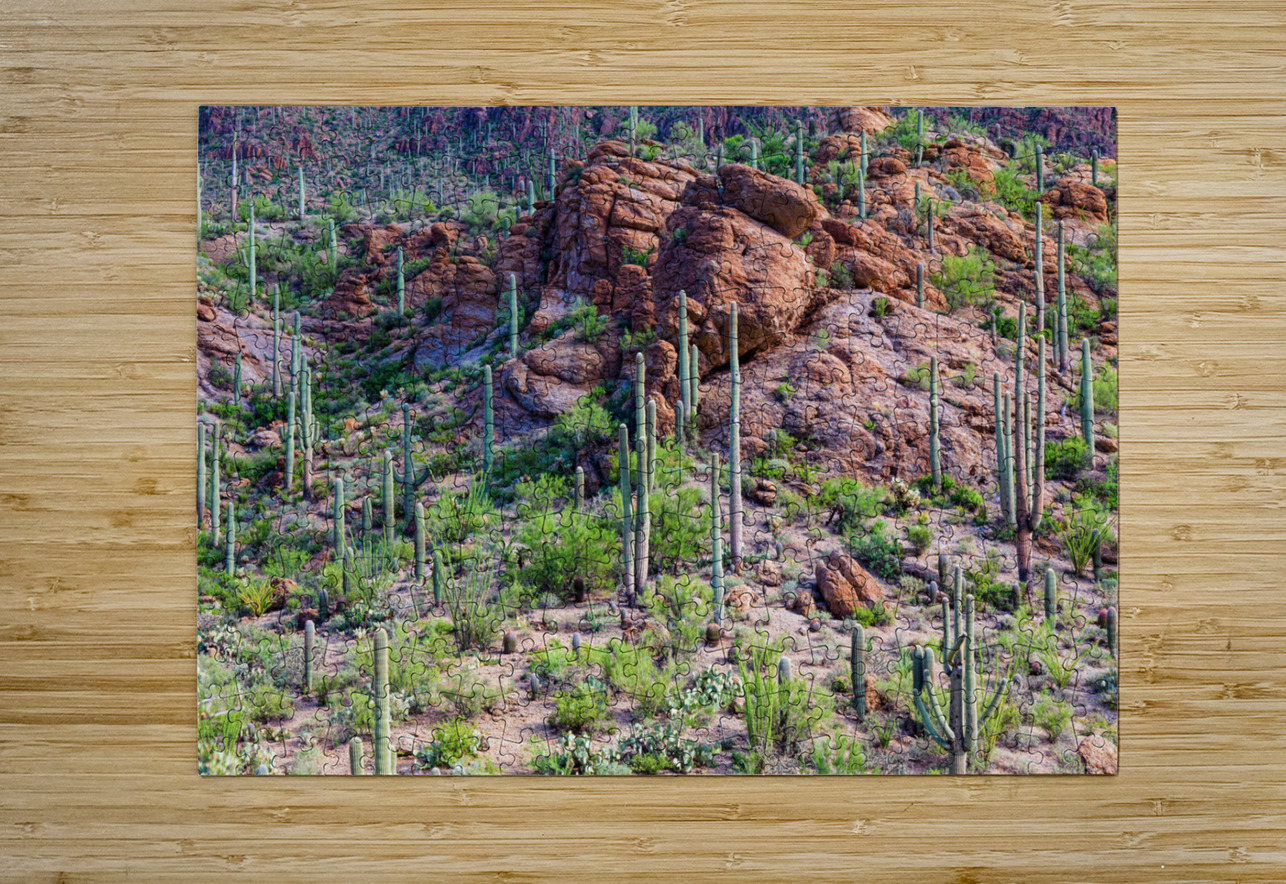 Arizona Desert Forest Bo Insogna Puzzle printing