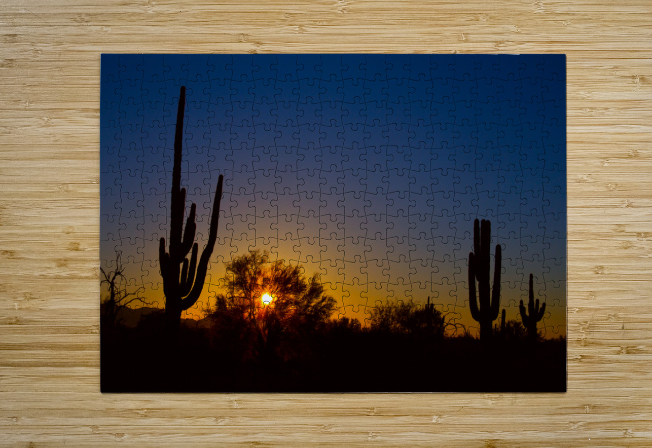 Just Another Sonoran Desert Sunrise Bo Insogna Puzzle printing