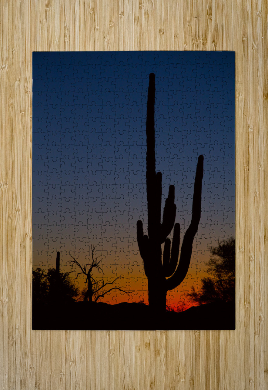Sonoran Desert Sunrise Bo Insogna Puzzle printing