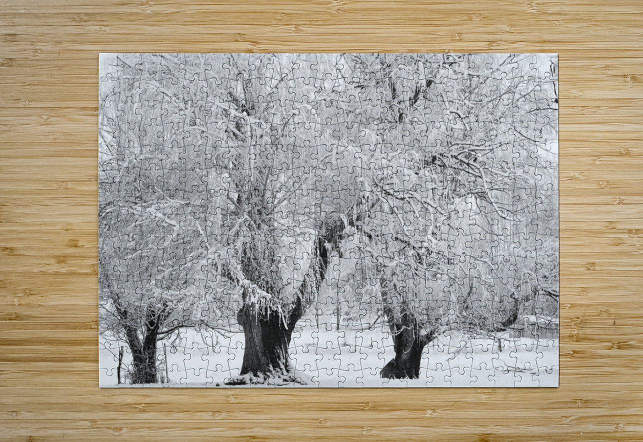 Three Trees Bo Insogna Puzzle printing