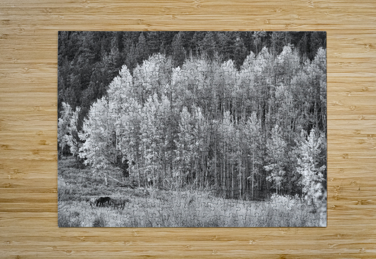Autumn Grazing Horses Bonanza Bo Insogna Puzzle printing