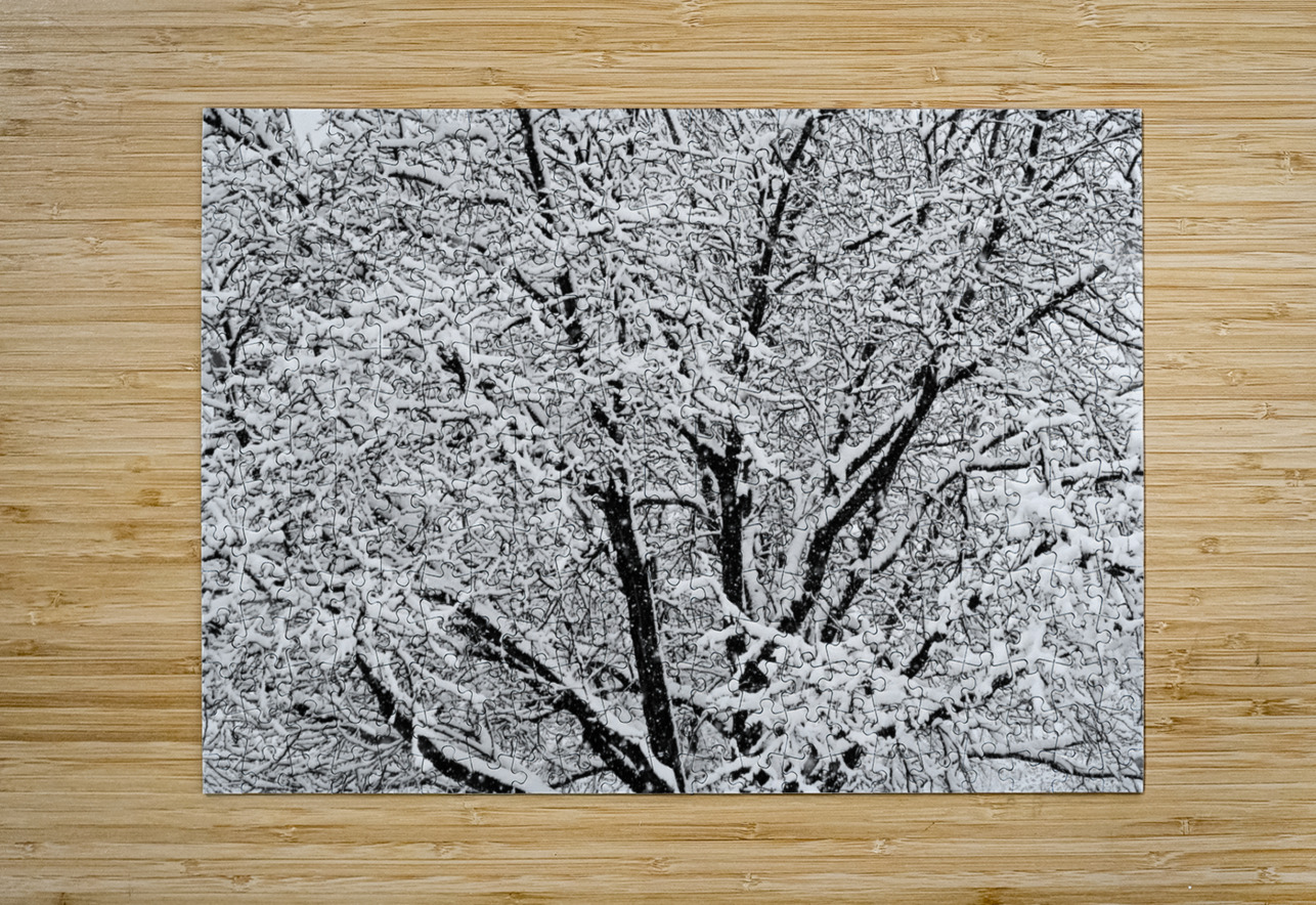 Black and White Snowy Tree Branches Abstract Three Bo Insogna Puzzle printing