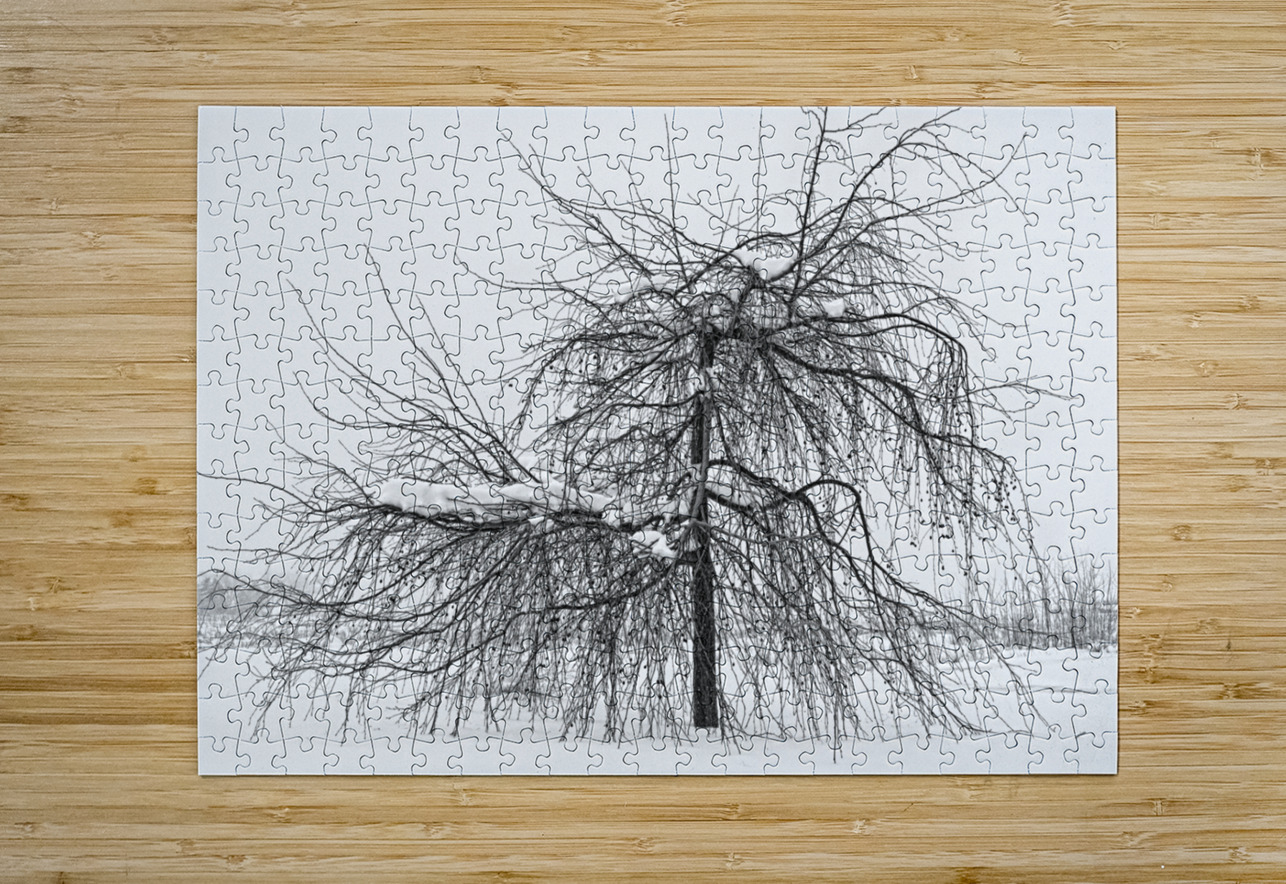 Wild Springtime Winter Tree Black and White Bo Insogna Puzzle printing