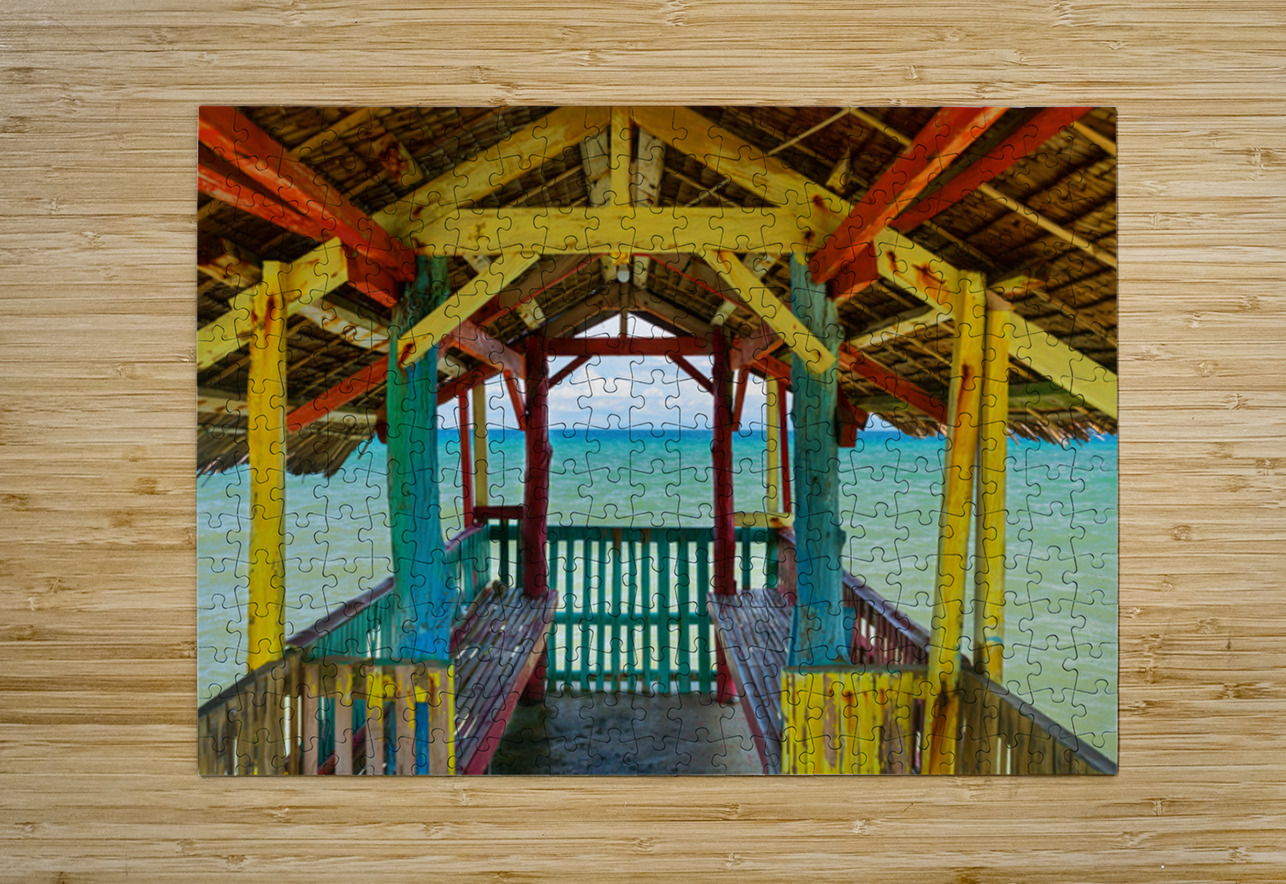 Sunlit Painted Frame Sea Gateway Bo Insogna Puzzle printing