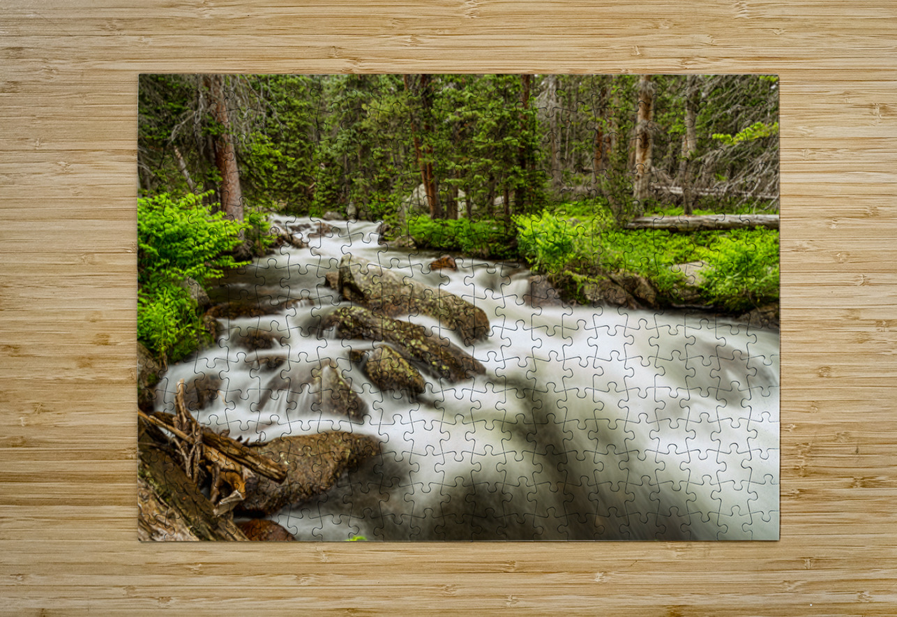 Roosevelt National Forest Stream Bo Insogna Puzzle printing