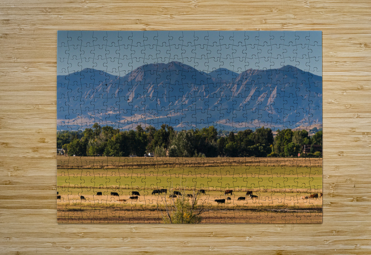 Boulder Flatirons and Cows Bo Insogna Puzzle printing