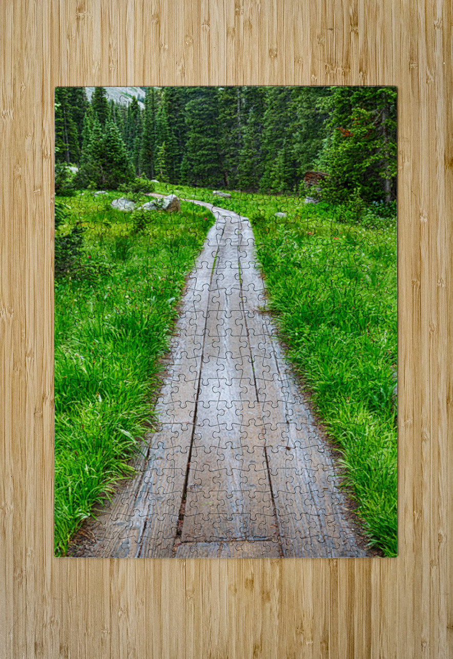 Wooden Forest Path Bo Insogna Puzzle printing