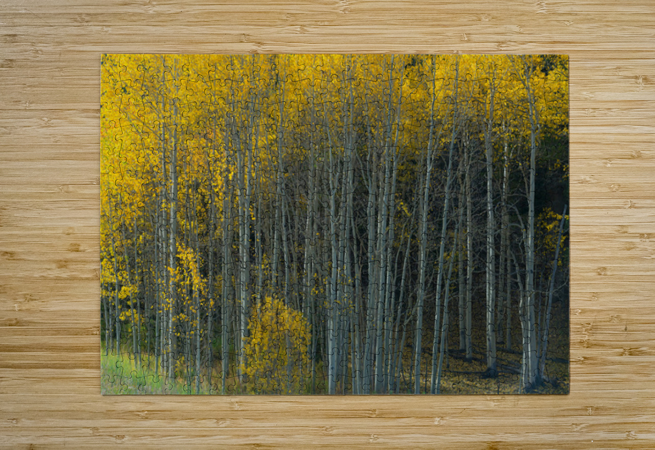 That  Morning Autumn Light Bo Insogna Puzzle printing