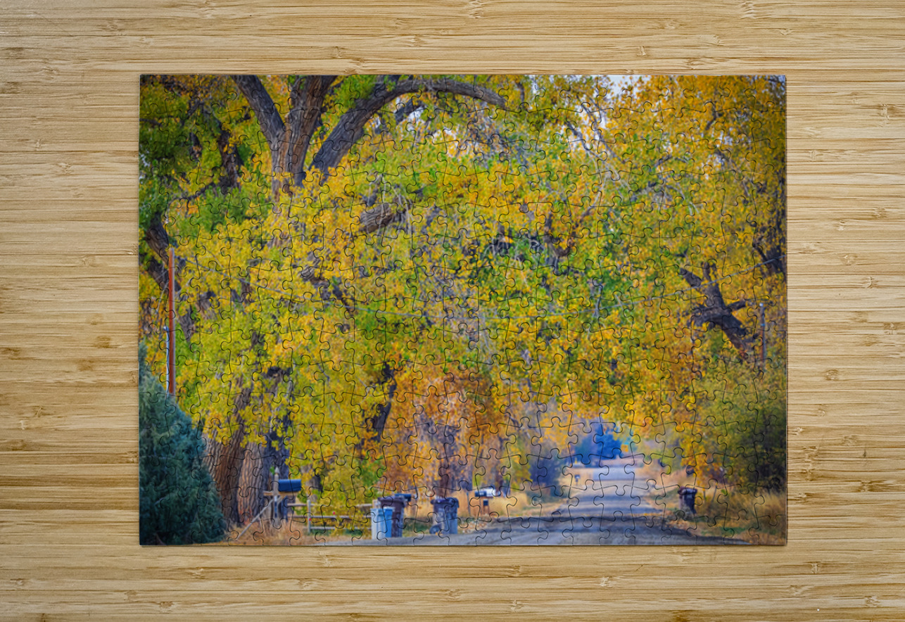 Awesome Country Road Bo Insogna Puzzle printing