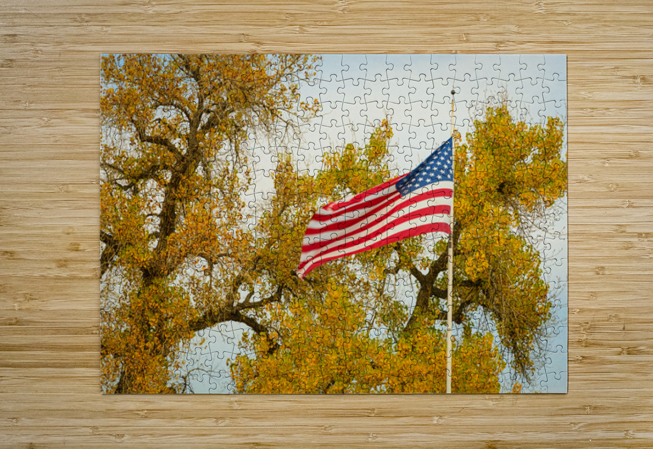 Glory Glory Bo Insogna Puzzle printing