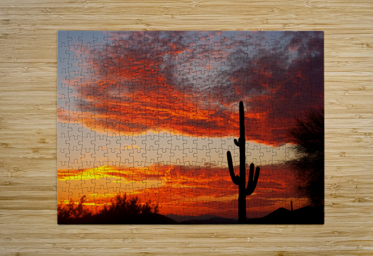  Fiery Arizona Sunset Behind a Silent Saguaro Bo Insogna Puzzle printing