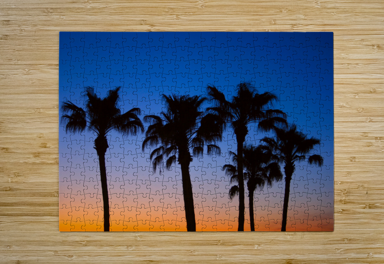 Palm Shadows Dancing in the Colors of Dusk Bo Insogna Puzzle printing