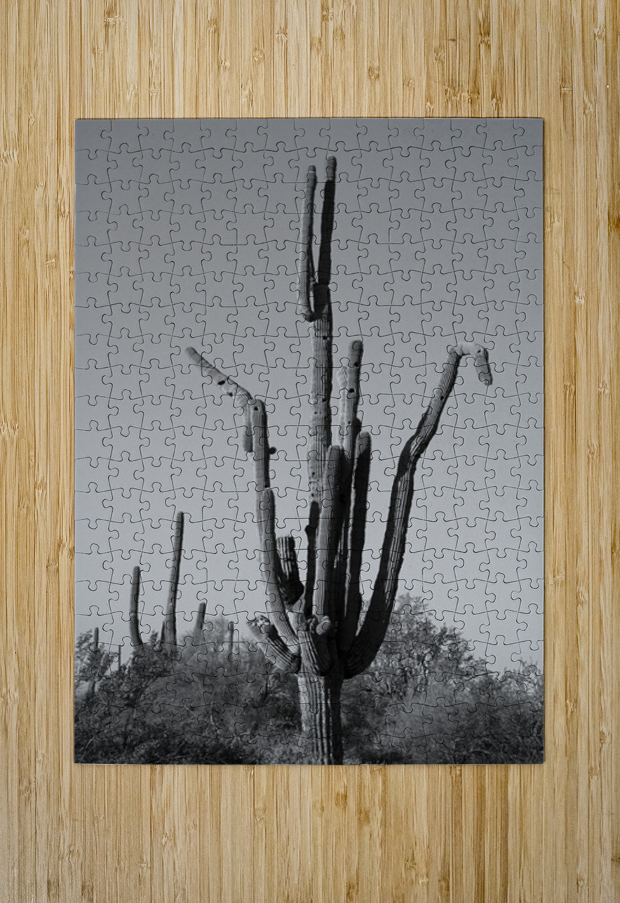 Weird Giant Saguaro Cactus in Black and White Bo Insogna Puzzle printing