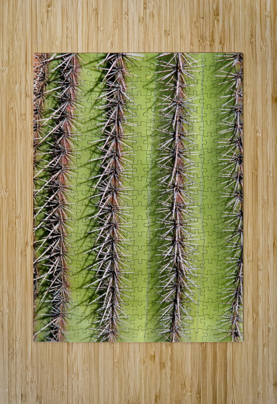 Vertical Close Up of a Southwest Saguaro Cactus Bo Insogna Puzzle printing