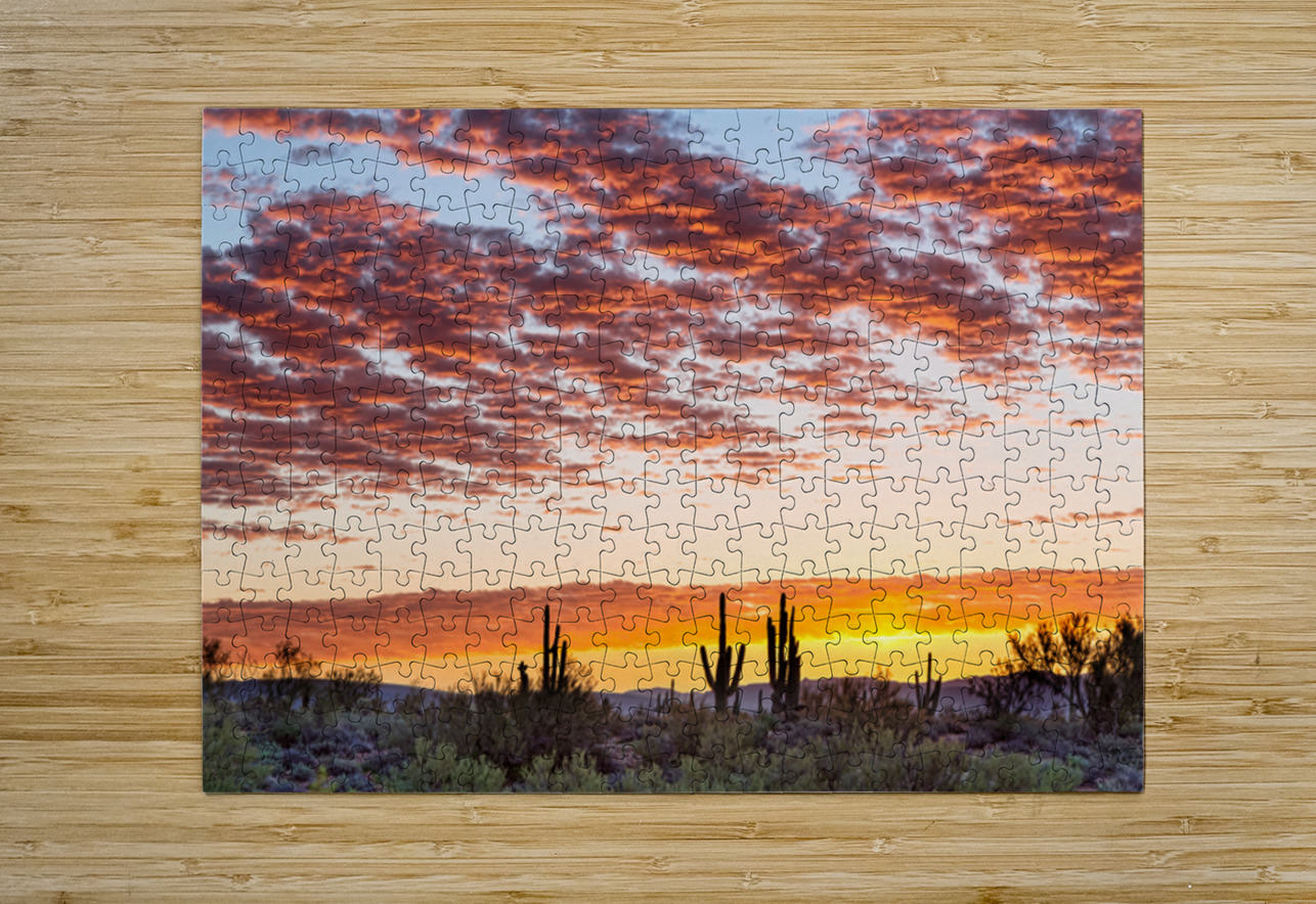 Colorful Sonoran Desert Sunrise Bo Insogna Puzzle printing