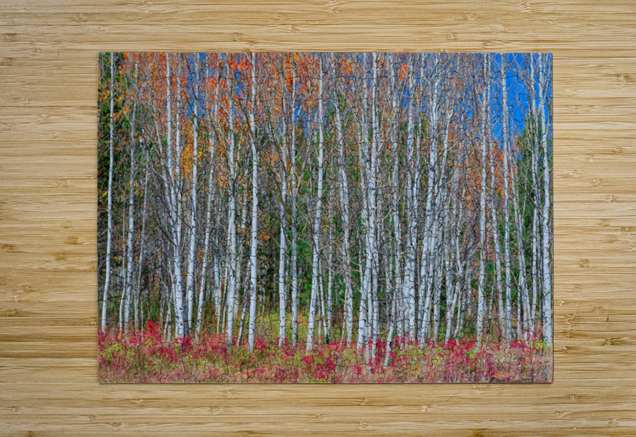 Aspen Grove Symphony Autumns Embrace Bo Insogna Puzzle printing