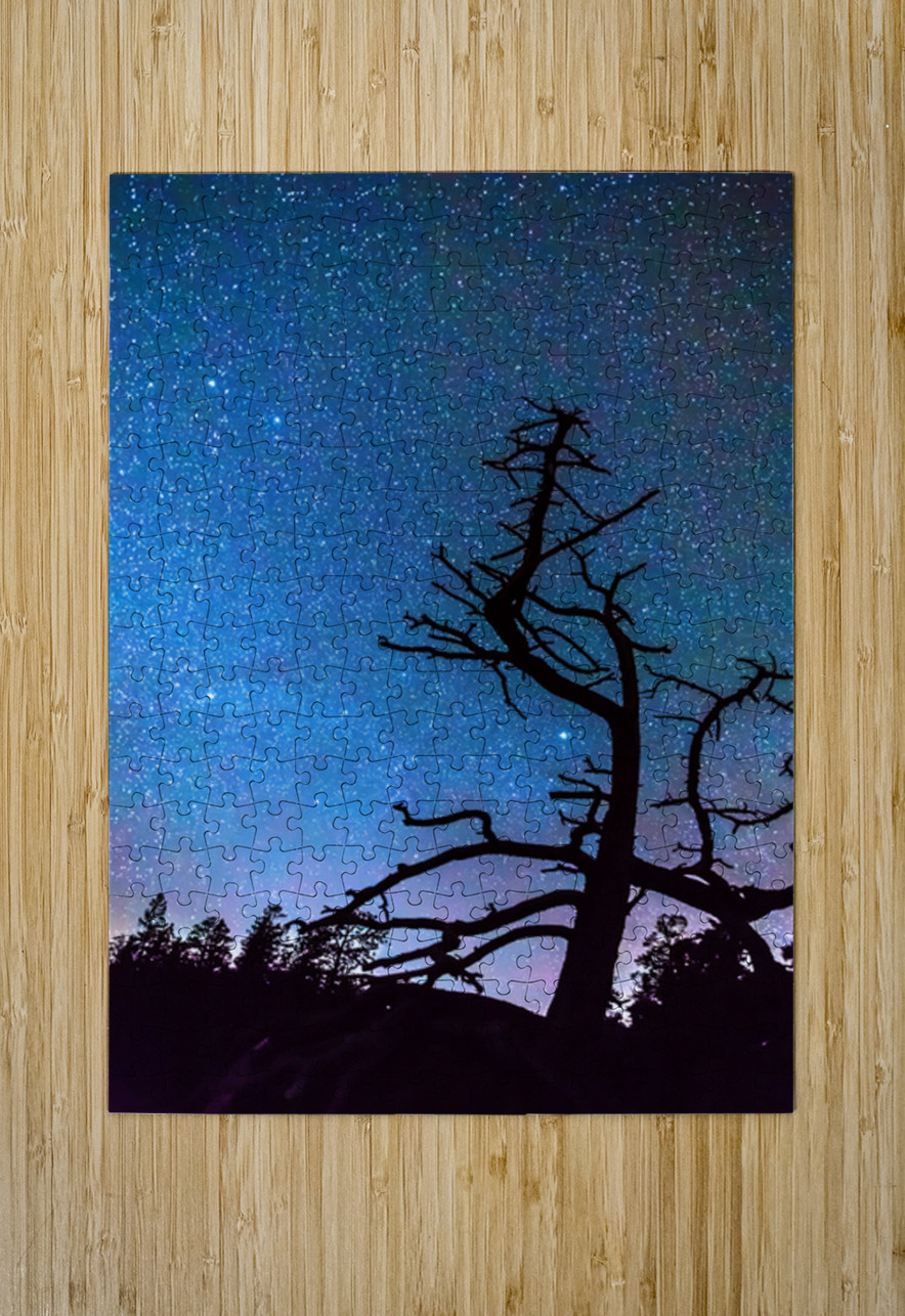 Starry Night Sky with Silhouette Tree Bo Insogna Puzzle printing