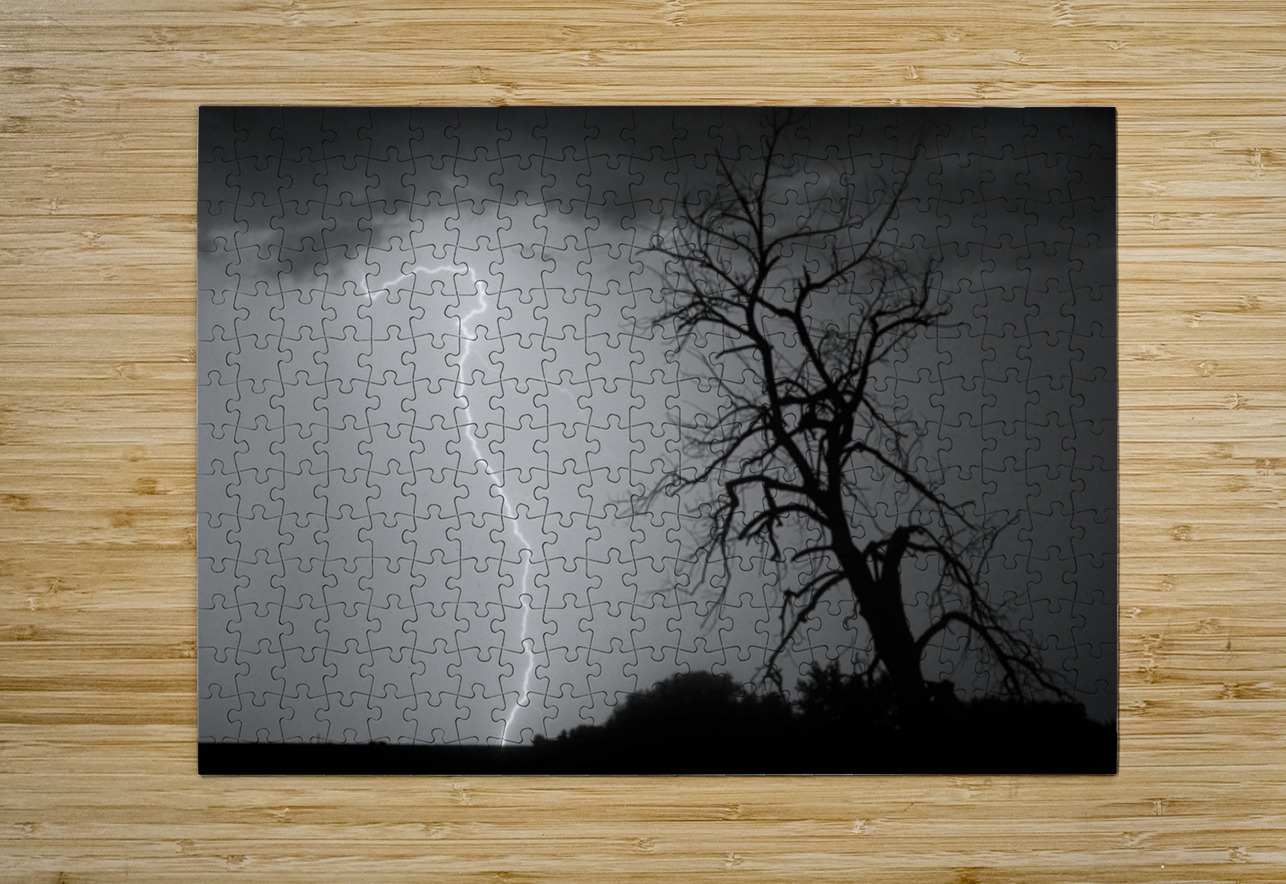 Lightning Strikes the Twisted Sentinel Tree Bo Insogna Puzzle printing