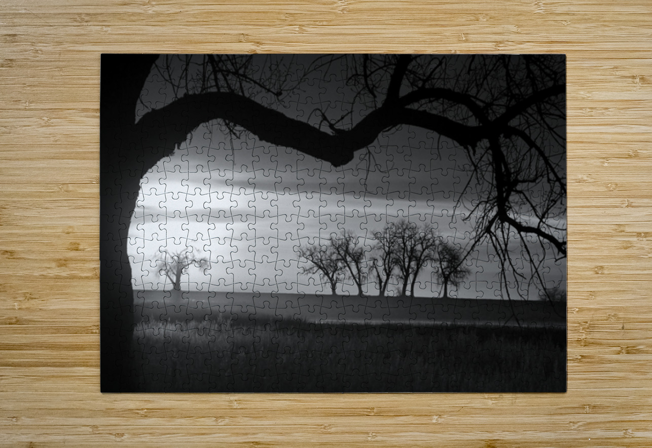 Whispers of Trees and Meadows at Sunrise in Black and White Bo Insogna Puzzle printing