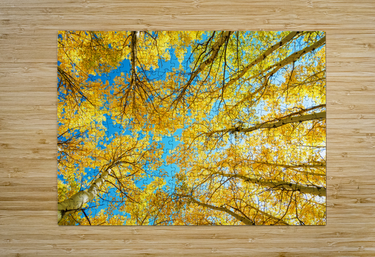 Colorado Aspen Kaleidoscope Bo Insogna Puzzle printing