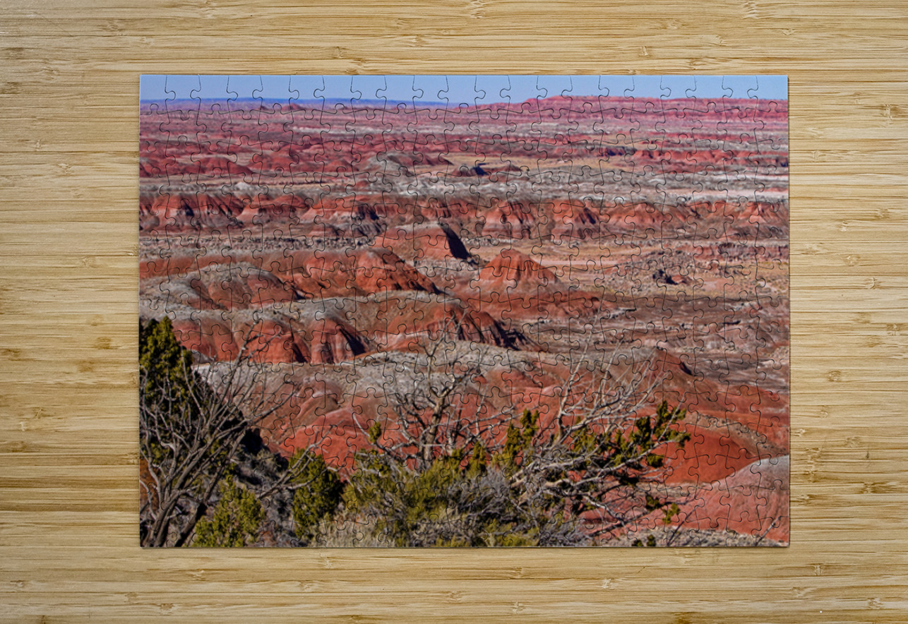 Painted Desert Horizons Arizona Bo Insogna Puzzle printing