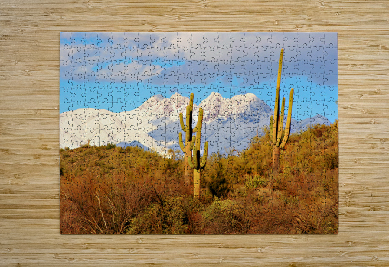 Four Peaks Arizona Desert Landscape Bo Insogna Puzzle printing