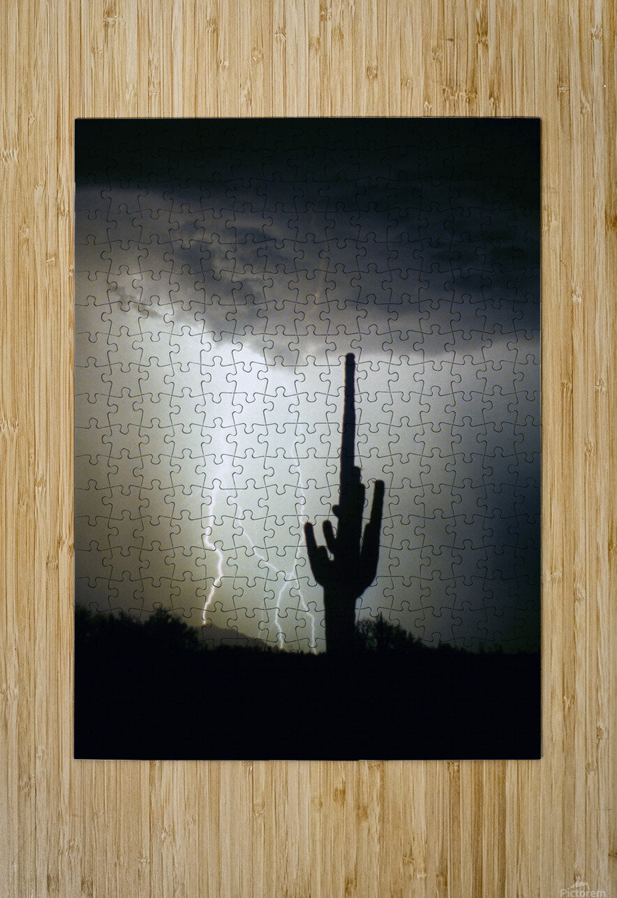 Lightning Swirl Saguaro Cactus Highlands  HD Metal print with Floating Frame on Back
