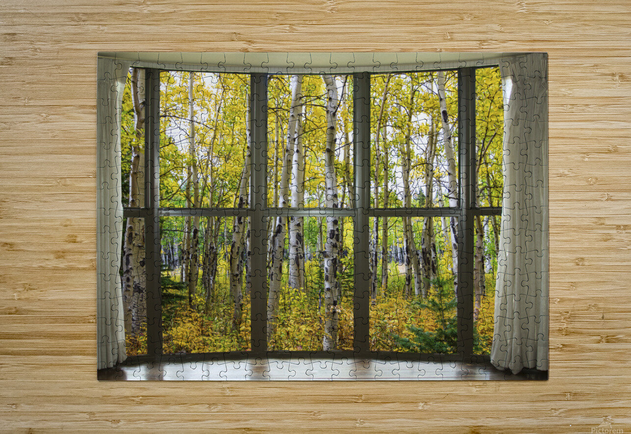 Autumn Forest Bay Window View  HD Metal print with Floating Frame on Back