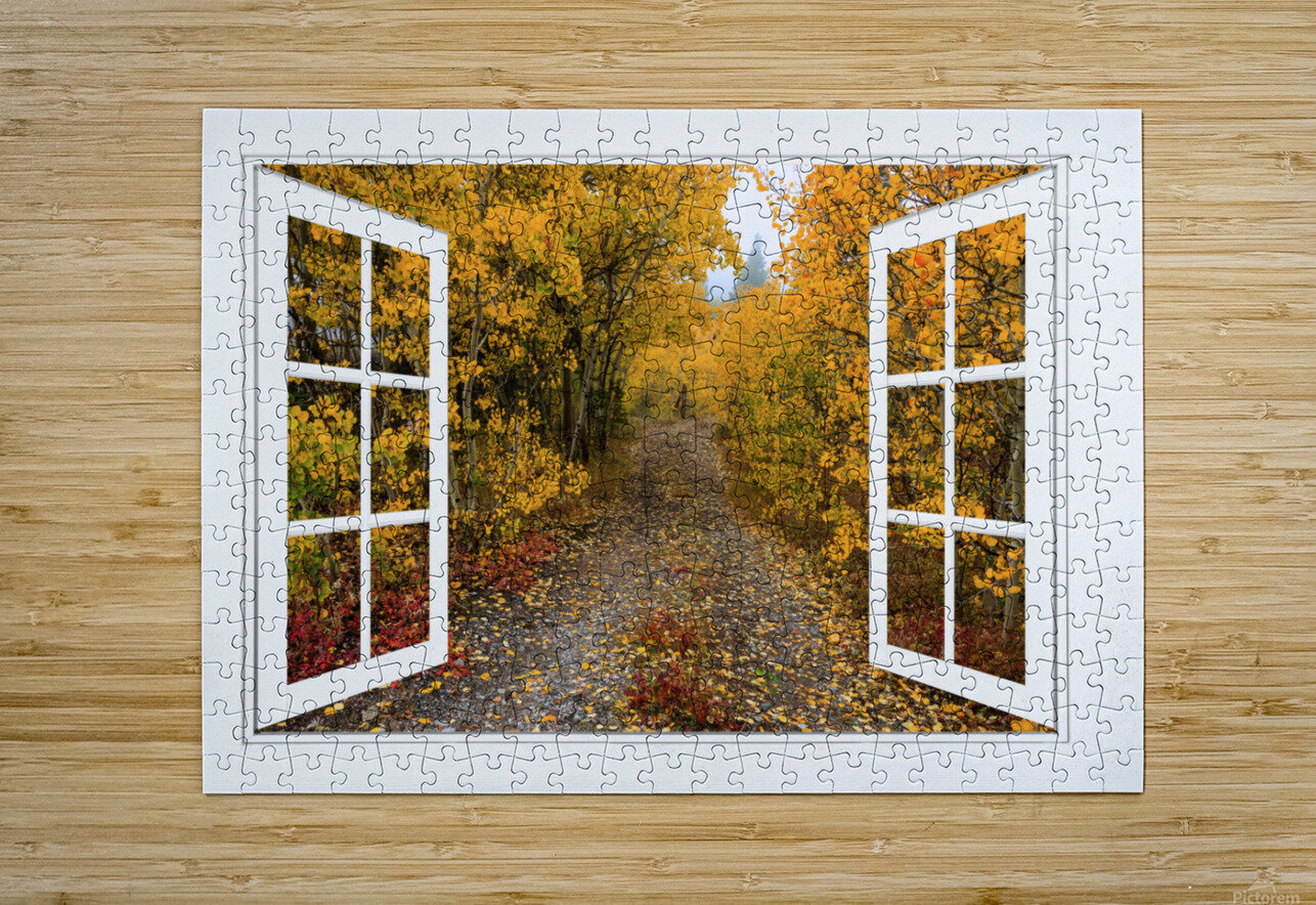 Colorful Trees Down the Drive White Open Window  HD Metal print with Floating Frame on Back