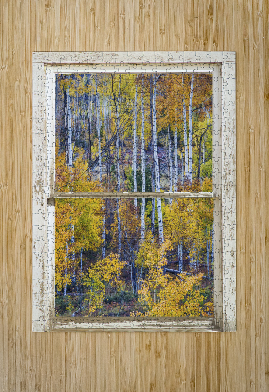 Aspen Autumn Magic White Window  Impression métal HD avec cadre flottant sur le dos