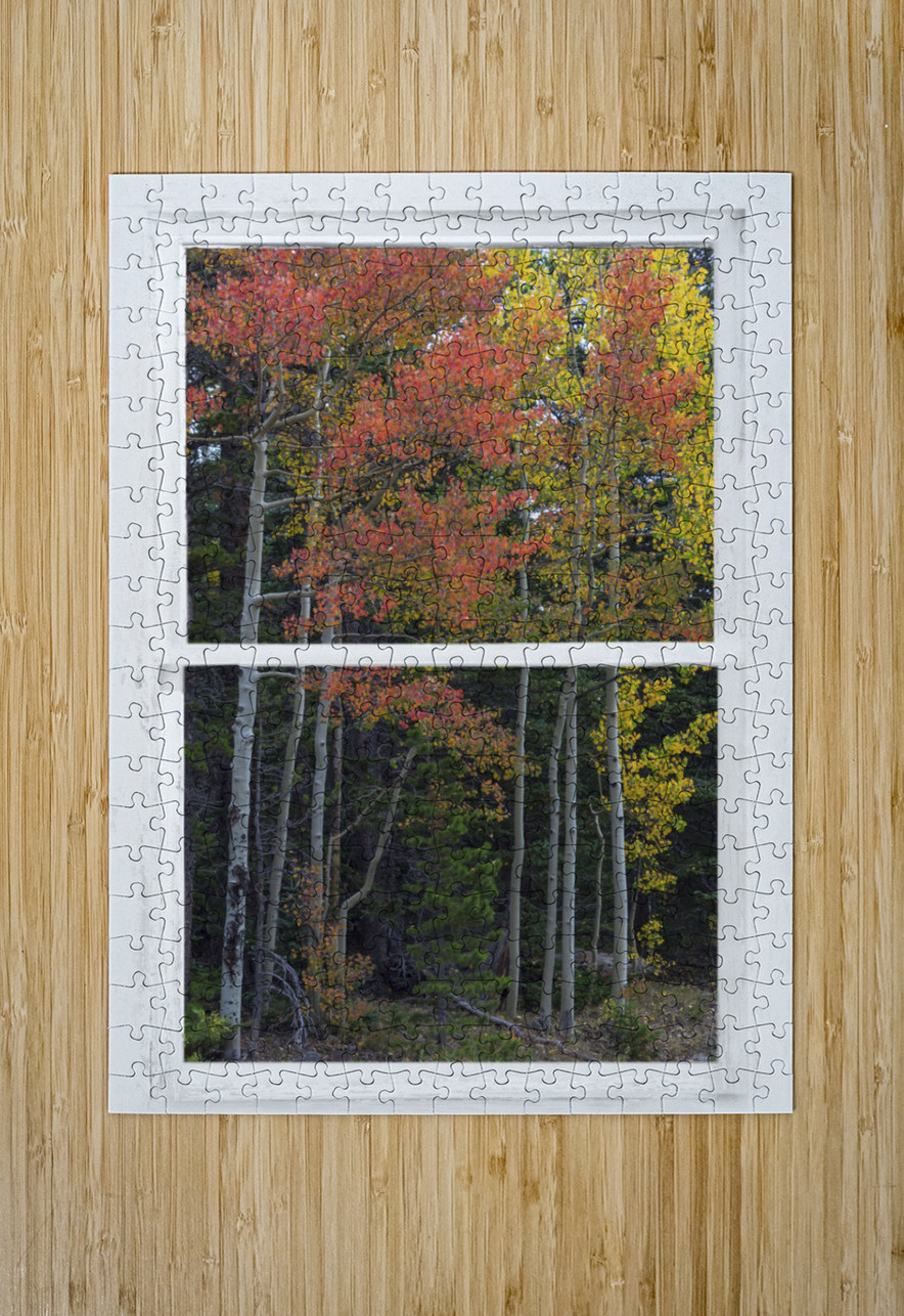 Aspen Forest Red Rustic Window View  HD Metal print with Floating Frame on Back