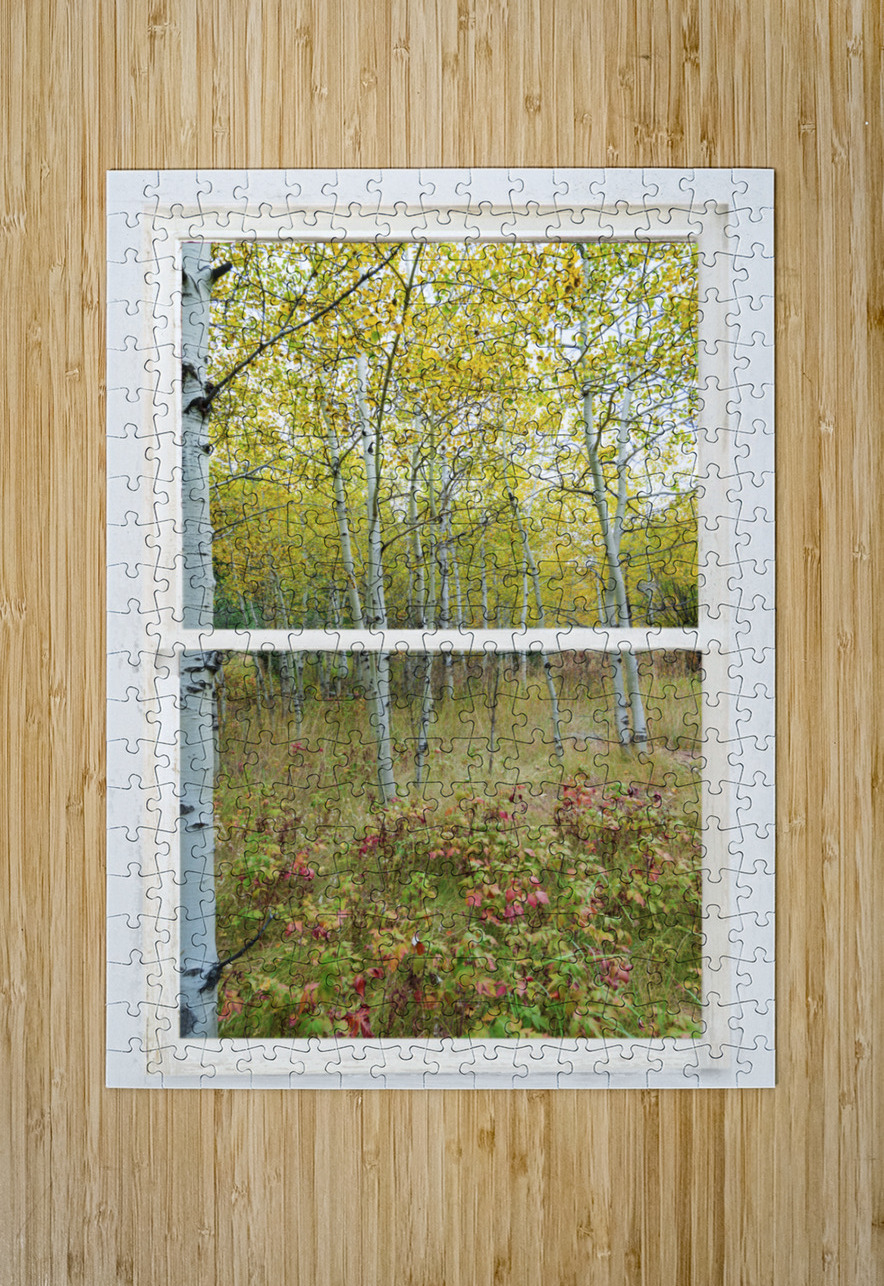 Forest Delight  White Window View  HD Metal print with Floating Frame on Back
