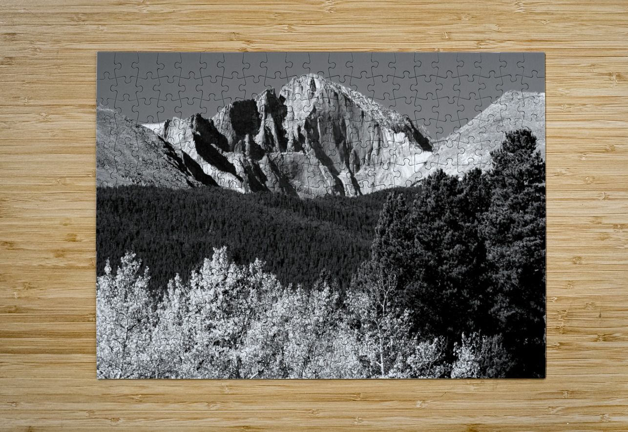 Longs Peak Autumn Aspen Landscape View BW Bo Insogna Puzzle printing