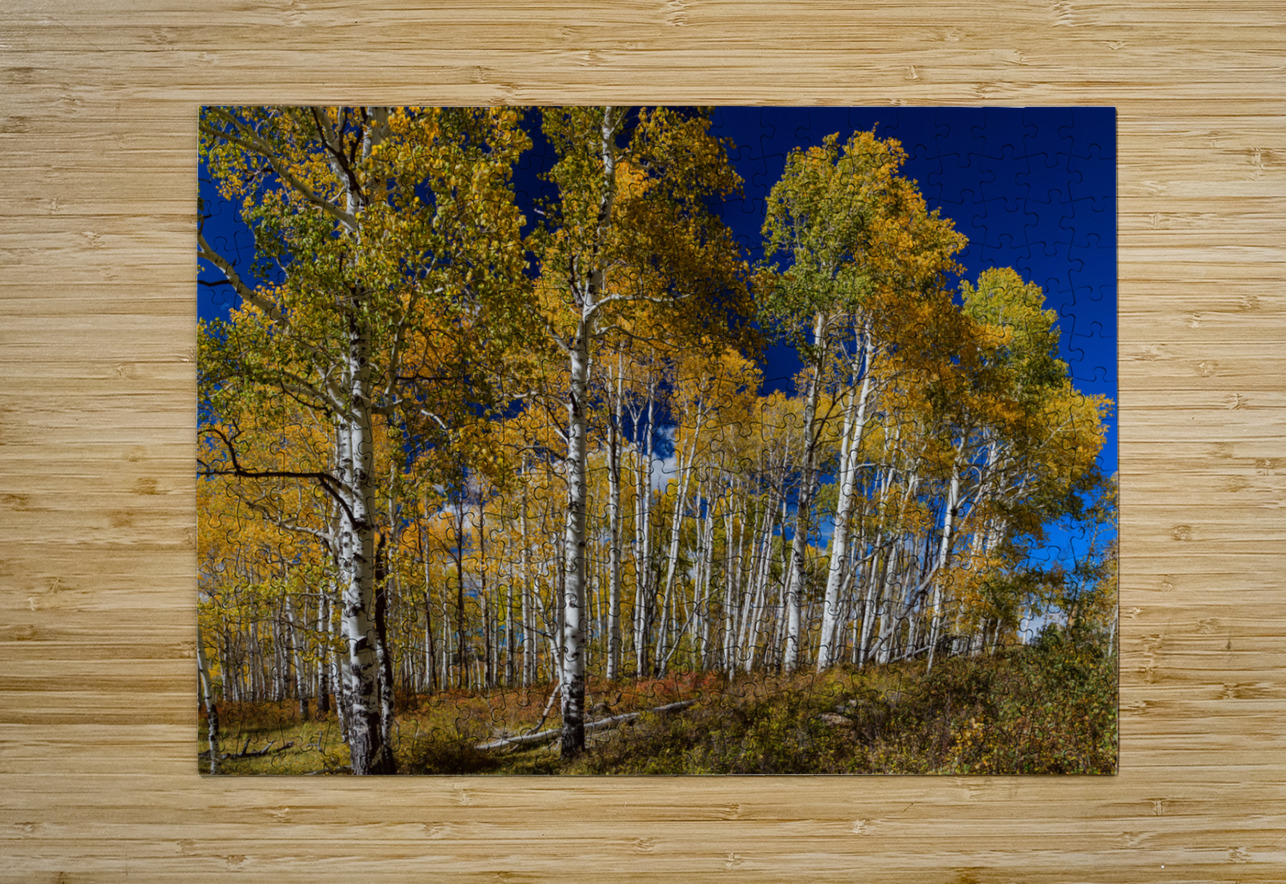 Autumn Blue Skies  Impression métal HD avec cadre flottant sur le dos