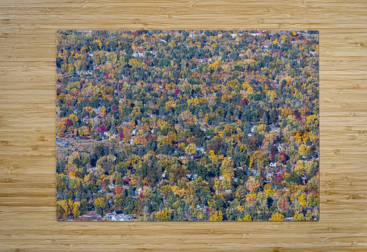 Colorful Trees Boulder Colorado  HD Metal print with Floating Frame on Back