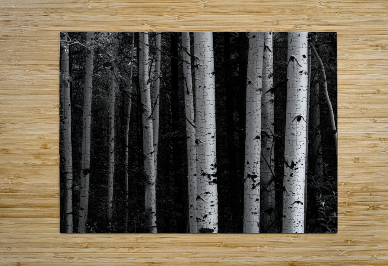 Shades Of A Forest  HD Metal print with Floating Frame on Back