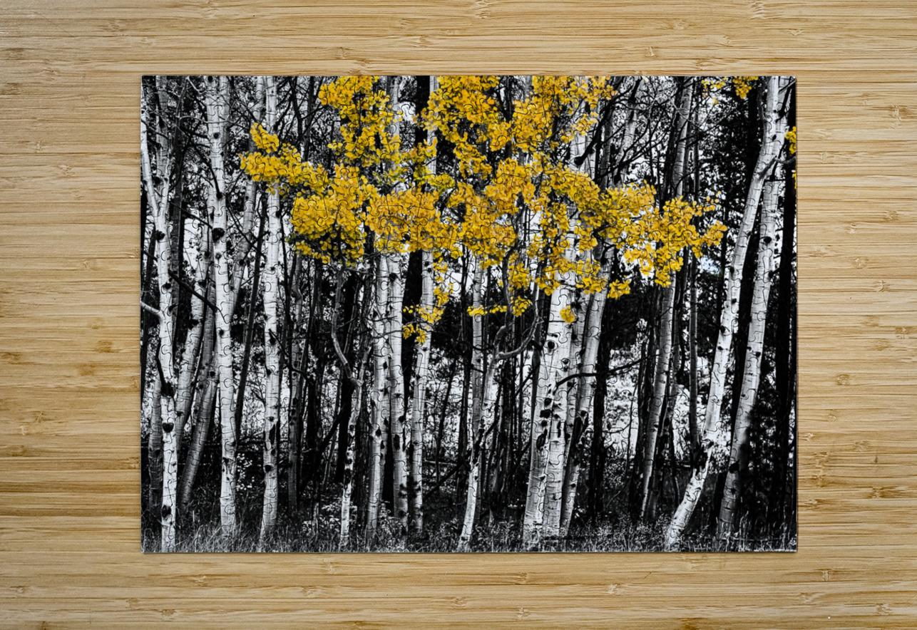 Aspen Touch of Orange Bo Insogna Puzzle printing