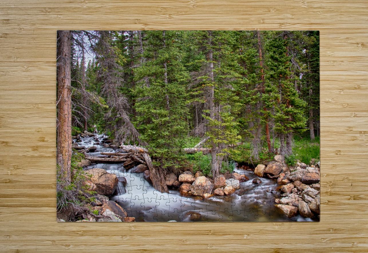 Colorado Rocky Mountain Forest Stream  HD Metal print with Floating Frame on Back