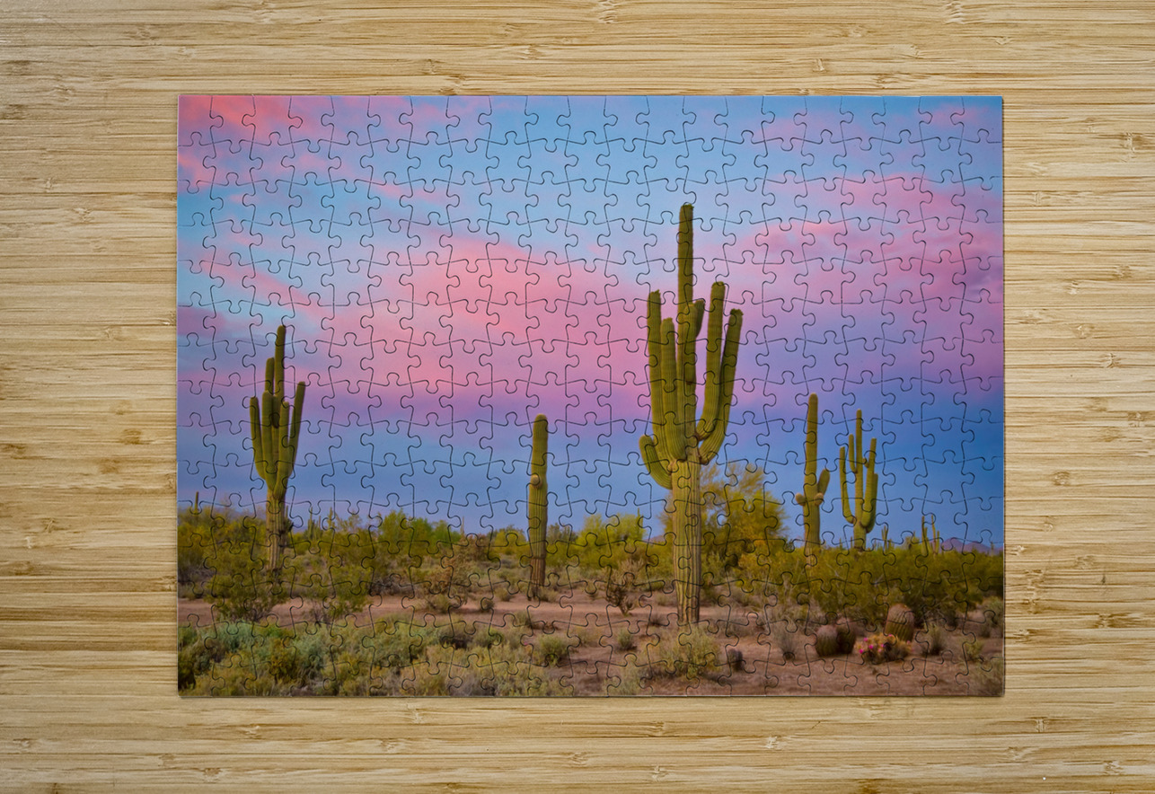 Southwest Desert Spring Bo Insogna Puzzle printing