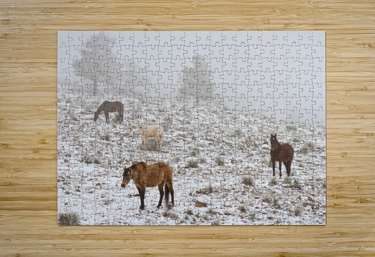 Rocky Mountain Horses Snow Fog  Impression métal HD avec cadre flottant sur le dos